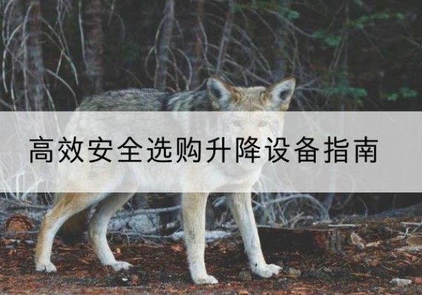 曲阜升降货梯厂家推荐-*安全选购升降设备指南