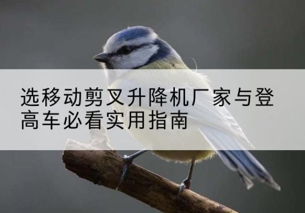 曲阜电动升降机厂家-选移动剪叉升降机厂家与登高车必看实用指南
