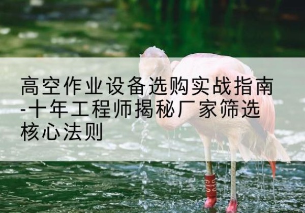 曲阜剪叉式升降机厂家-高空作业设备选购实战指南-十年工程师揭秘厂家筛选核心法则